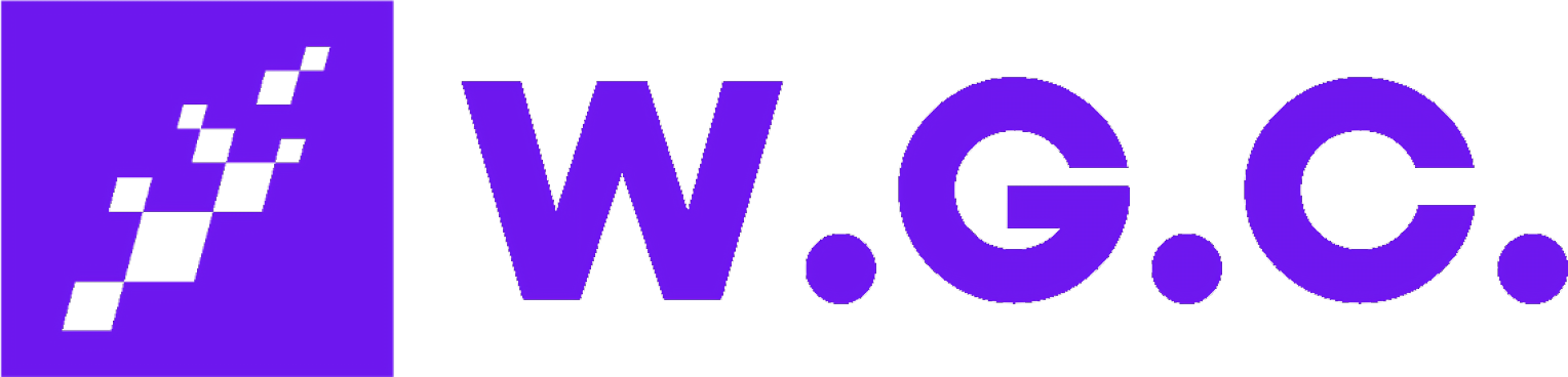 Wise Guys Consulting